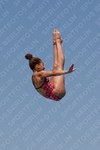 2017 - 8. Sofia Diving Cup 2017 - 8. Sofia Diving Cup 03012_35211.jpg