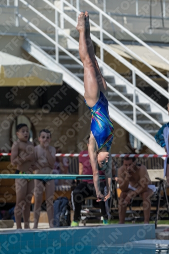 2017 - 8. Sofia Diving Cup 2017 - 8. Sofia Diving Cup 03012_35218.jpg