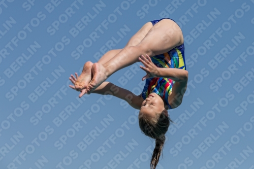 2017 - 8. Sofia Diving Cup 2017 - 8. Sofia Diving Cup 03012_35271.jpg
