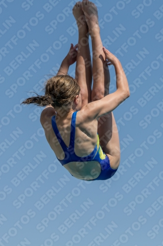 2017 - 8. Sofia Diving Cup 2017 - 8. Sofia Diving Cup 03012_35273.jpg