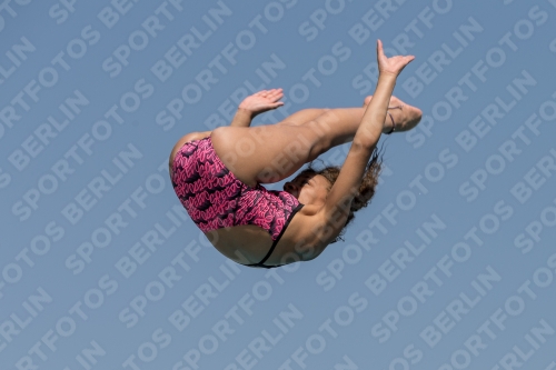2017 - 8. Sofia Diving Cup 2017 - 8. Sofia Diving Cup 03012_35288.jpg