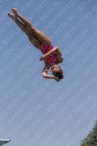2017 - 8. Sofia Diving Cup 2017 - 8. Sofia Diving Cup 03012_35306.jpg