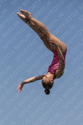2017 - 8. Sofia Diving Cup 2017 - 8. Sofia Diving Cup 03012_35307.jpg
