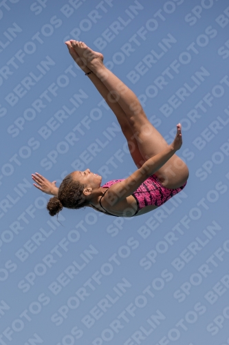 2017 - 8. Sofia Diving Cup 2017 - 8. Sofia Diving Cup 03012_35308.jpg