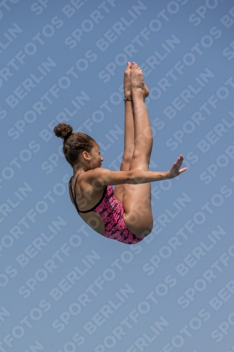 2017 - 8. Sofia Diving Cup 2017 - 8. Sofia Diving Cup 03012_35309.jpg