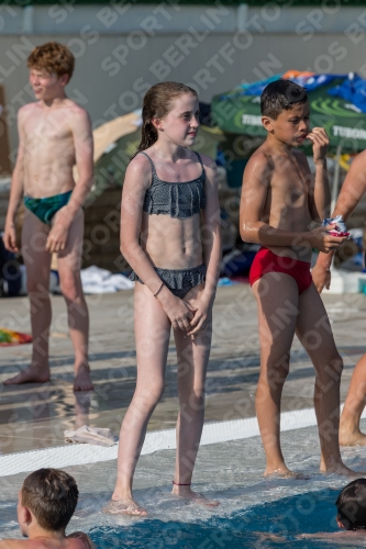 2017 - 8. Sofia Diving Cup 2017 - 8. Sofia Diving Cup 03012_35332.jpg