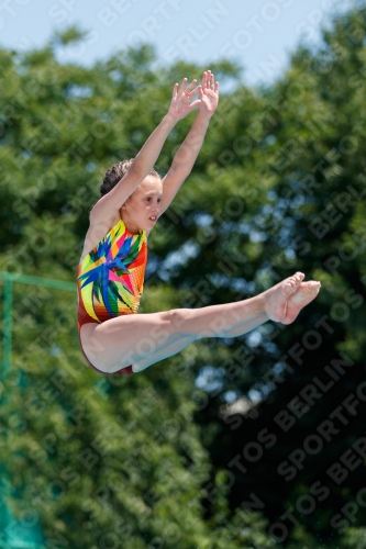 2017 - 8. Sofia Diving Cup 2017 - 8. Sofia Diving Cup 03012_35421.jpg