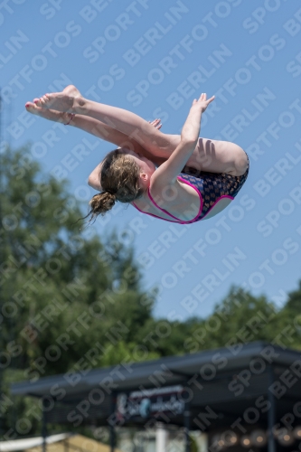 2017 - 8. Sofia Diving Cup 2017 - 8. Sofia Diving Cup 03012_35550.jpg