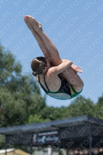 2017 - 8. Sofia Diving Cup 2017 - 8. Sofia Diving Cup 03012_35649.jpg