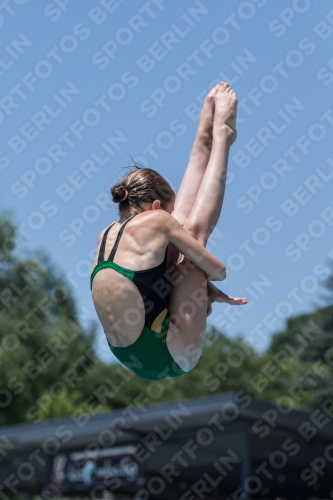 2017 - 8. Sofia Diving Cup 2017 - 8. Sofia Diving Cup 03012_35650.jpg