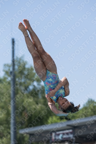 2017 - 8. Sofia Diving Cup 2017 - 8. Sofia Diving Cup 03012_35693.jpg