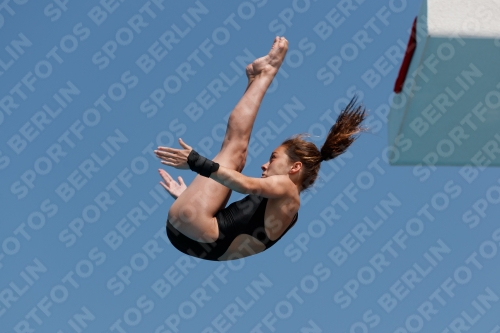 2017 - 8. Sofia Diving Cup 2017 - 8. Sofia Diving Cup 03012_35755.jpg