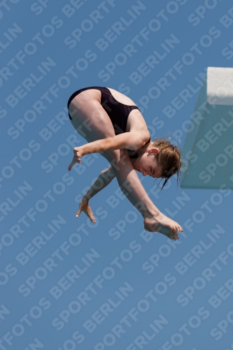 2017 - 8. Sofia Diving Cup 2017 - 8. Sofia Diving Cup 03012_35762.jpg