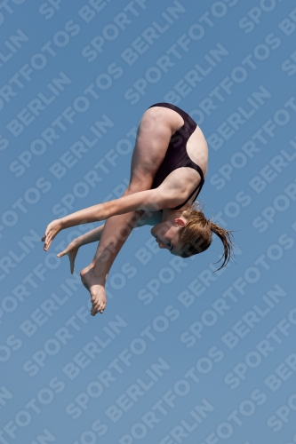 2017 - 8. Sofia Diving Cup 2017 - 8. Sofia Diving Cup 03012_35765.jpg