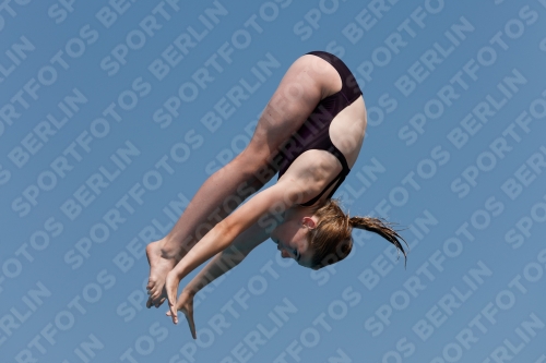 2017 - 8. Sofia Diving Cup 2017 - 8. Sofia Diving Cup 03012_35766.jpg