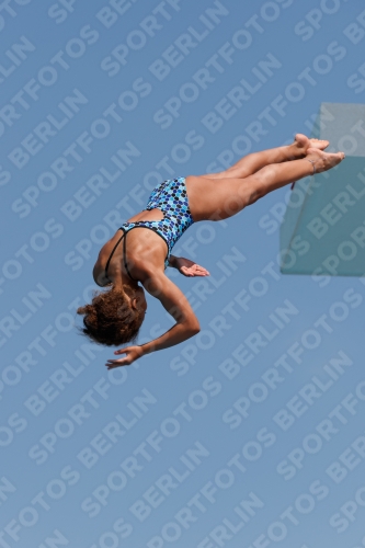 2017 - 8. Sofia Diving Cup 2017 - 8. Sofia Diving Cup 03012_35875.jpg