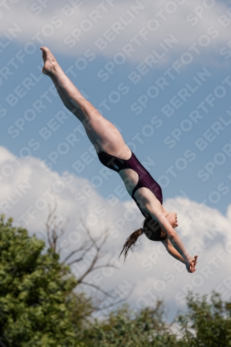 2017 - 8. Sofia Diving Cup 2017 - 8. Sofia Diving Cup 03012_35907.jpg