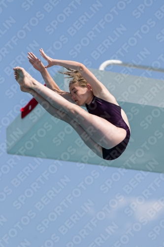 2017 - 8. Sofia Diving Cup 2017 - 8. Sofia Diving Cup 03012_36054.jpg