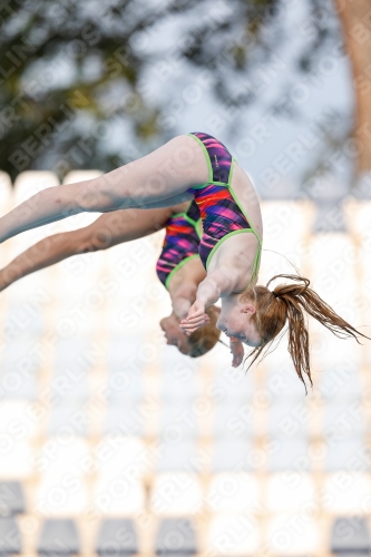 2018 - Roma Junior Diving Cup 2018 2018 - Roma Junior Diving Cup 2018 03023_14458.jpg