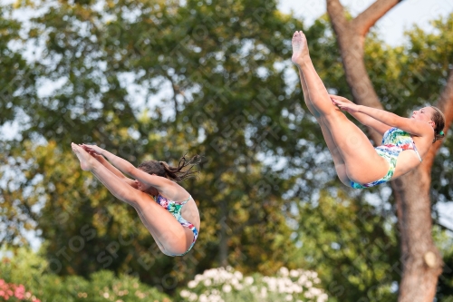 2018 - Roma Junior Diving Cup 2018 2018 - Roma Junior Diving Cup 2018 03023_14678.jpg