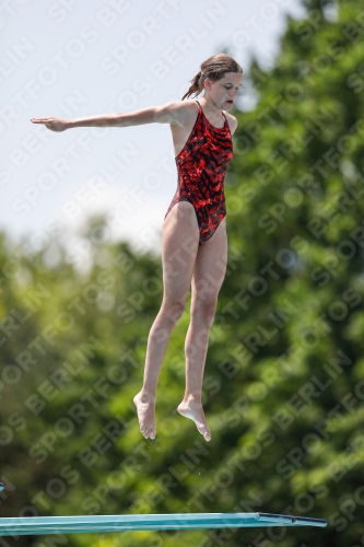 International Diving Meet Graz 2019 International Diving Meet Graz 2019 03030_00086.jpg