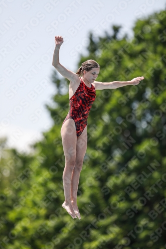 International Diving Meet Graz 2019 International Diving Meet Graz 2019 03030_00087.jpg