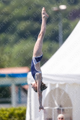 International Diving Meet Graz 2019 International Diving Meet Graz 2019 03030_00184.jpg