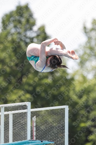 International Diving Meet Graz 2019 International Diving Meet Graz 2019 03030_00399.jpg