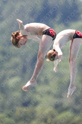 International Diving Meet Graz 2019 International Diving Meet Graz 2019 03030_00549.jpg