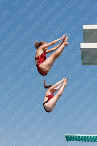 International Diving Meet Graz 2019 International Diving Meet Graz 2019 03030_01776.jpg