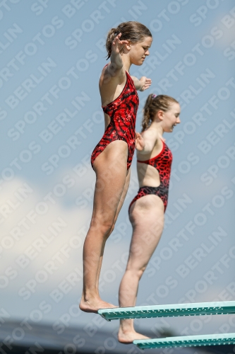 International Diving Meet Graz 2019 International Diving Meet Graz 2019 03030_01857.jpg