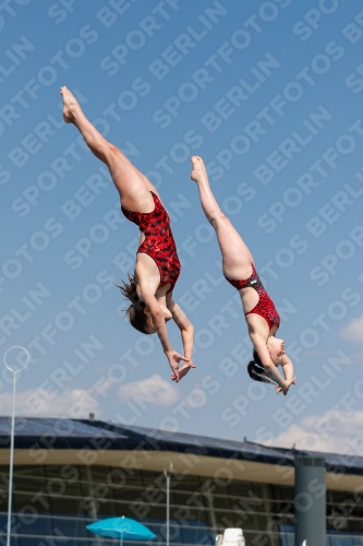 International Diving Meet Graz 2019 International Diving Meet Graz 2019 03030_01910.jpg