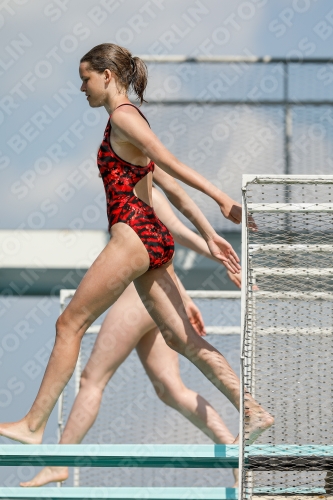 2019 - International Diving Meet Graz 2019 - International Diving Meet Graz 03030_01999.jpg