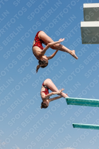 International Diving Meet Graz 2019 International Diving Meet Graz 2019 03030_02151.jpg