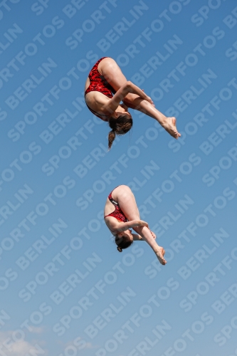 International Diving Meet Graz 2019 International Diving Meet Graz 2019 03030_02157.jpg