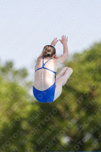 2019 - International Diving Meet Graz 2019 - International Diving Meet Graz 03030_02564.jpg