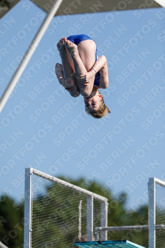 2019 - International Diving Meet Graz 2019 - International Diving Meet Graz 03030_03541.jpg