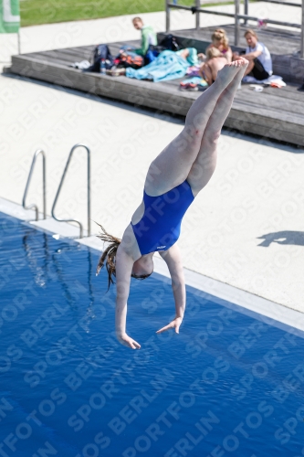 International Diving Meet Graz 2019 International Diving Meet Graz 2019 03030_04784.jpg