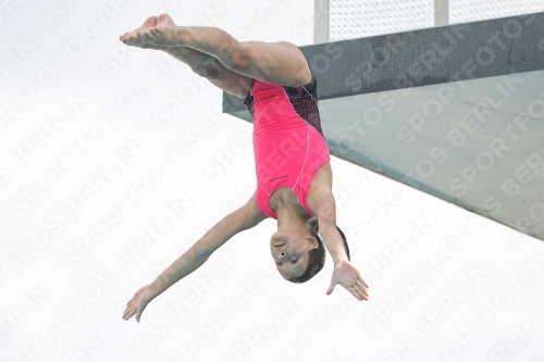 International Diving Meet Graz 2019 International Diving Meet Graz 2019 03030_05910.jpg