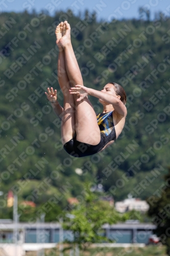 International Diving Meet Graz 2019 International Diving Meet Graz 2019 03030_07377.jpg