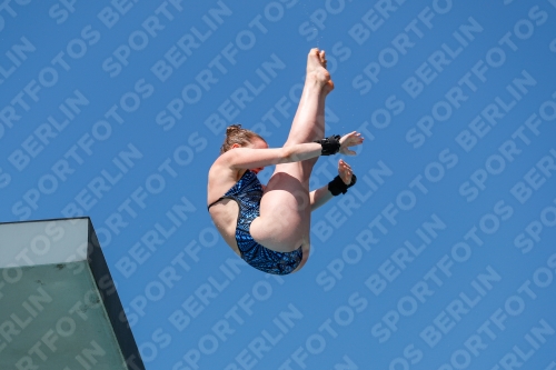 International Diving Meet Graz 2019 International Diving Meet Graz 2019 03030_08123.jpg