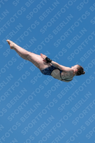 International Diving Meet Graz 2019 International Diving Meet Graz 2019 03030_08245.jpg