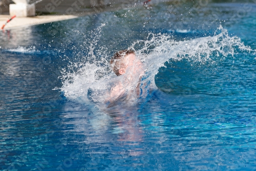 International Diving Meet Graz 2019 International Diving Meet Graz 2019 03030_13273.jpg