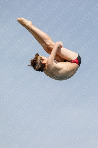 International Diving Meet Graz 2019 International Diving Meet Graz 2019 03030_13410.jpg