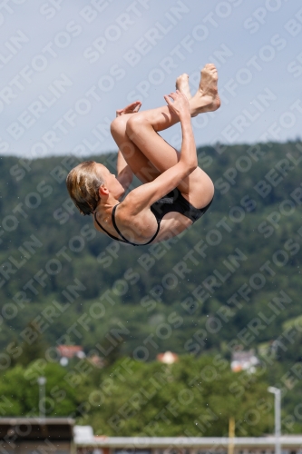 International Diving Meet Graz 2019 International Diving Meet Graz 2019 03030_13430.jpg