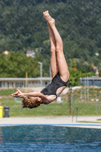 International Diving Meet Graz 2019 International Diving Meet Graz 2019 03030_13433.jpg