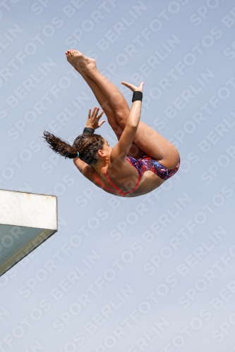 International Diving Meet Graz 2019 International Diving Meet Graz 2019 03030_13455.jpg