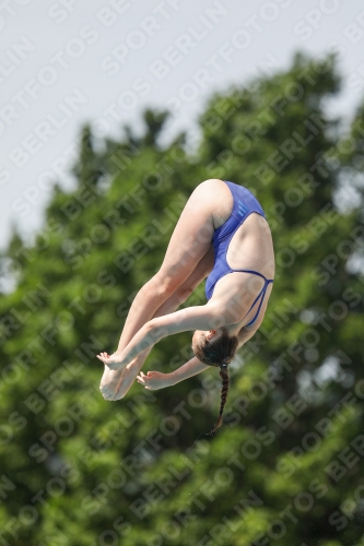 International Diving Meet Graz 2019 International Diving Meet Graz 2019 03030_13654.jpg