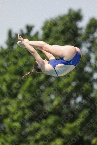 International Diving Meet Graz 2019 International Diving Meet Graz 2019 03030_13655.jpg