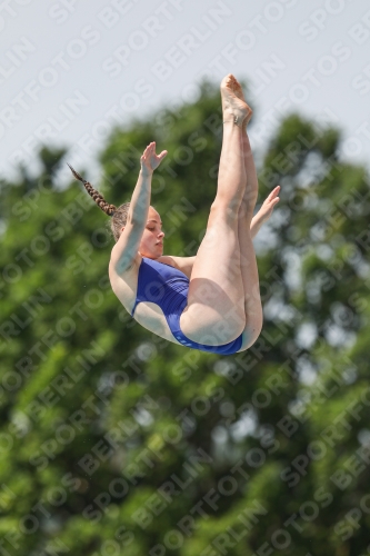 International Diving Meet Graz 2019 International Diving Meet Graz 2019 03030_13656.jpg